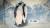 Pingvin 7 részes ágynemű garnitúra